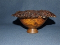 natural_edge_bowl_australian_grass_tree.jpg